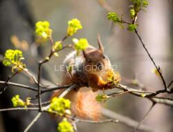 ������ ����������� �������� � �� ������ ����� ���� 27