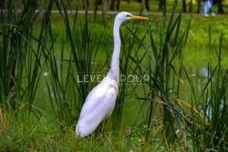 ������ ����������� �������� � �� ������ ����� ���� 26