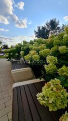 ��������� ����������� �������� �� '���������� ' ���� 12