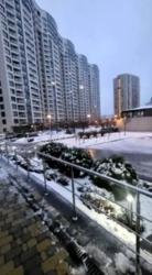  2-   Park Avenue VIP  14