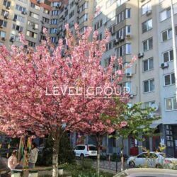 ������ 3-������� �������� �� ������� ���. ������, 2/1 ���� 5