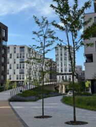 ����������� � ������ ������ ����������� �������� � �� ����� ���� ���� 15