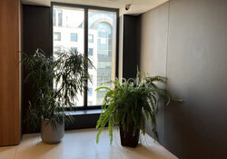 ���� ��������, ���. ����������(��������), 74, ���� 19