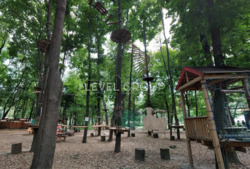 ������ �������� � ����������� ��������� �������� Golden Park ���� 12