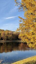 ������ 2-������� �������� � �� ������� ����� 2� ���� 14