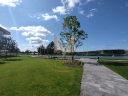  Park Lake City   ѳ, 4 .  . .  4