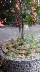 ������ ���� 1-������� �������� � �� DOCK 32 ���� 10