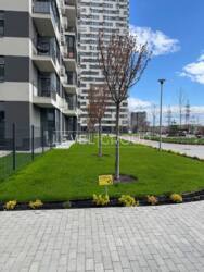 ��������� �������� �. ����� 17, 7.4, ���, ����������, ���������� ���� 8