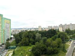 ������ ����������� �������� �� ������� ���� ���� 19