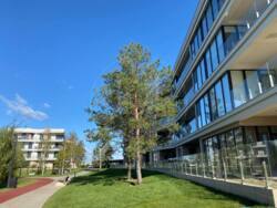    522      ',     Park Lake City VITA.  4
