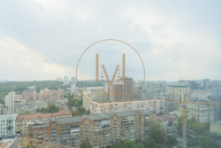1      Metropole   8