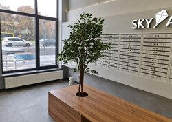 ������ ������� 1-������� �������� �� ������� ������ ��������� ���������, 11� ���� 4