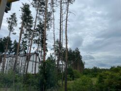 ������ ����-������� �� ����. ���� 14