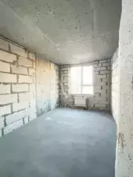 . 3. - . ( ), 5  6