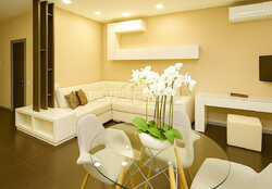   542   Central Park  3