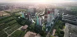  1    Dibrova Park.  1