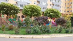 ������ 1-������� �������� � �� �̳����������� ���� 14