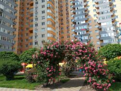 ������ 1-������� �������� � �� �̳����������� ���� 15