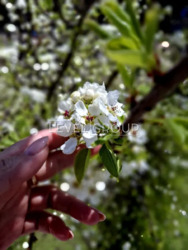 ������ 2-������� �������� | �ϲ ���� 6