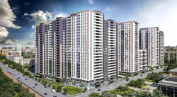  3-   18 , , 56,  OkLand  4