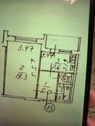 ��������� ������� ��������, ������������� �����, ������������� ���� 19