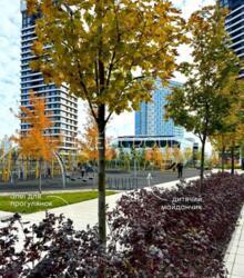   3-   97 ²       ˳ .    11