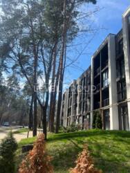  2     - Forest park  1