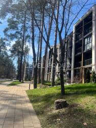  2     - Forest park  16