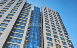     'Park Avenue VIP'  2