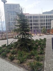 ������ ����������� �������� ����������� 3 � �������� ���� 12