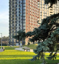 ������ ���������� �������� ��������� 12-� ������� 2, ����� ������, ��������� ����� ���� 2