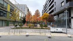 1 ��. �������� � ������ �����������, 6������, �� RYBALSKY, ���������-���������� ������, 11 ���� 7