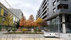 1 ��. �������� � ������ �����������, 6������, �� RYBALSKY, ���������-���������� ������, 11 ���� 8