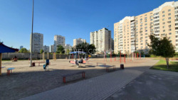  1-  . 쳿 , 13    12
