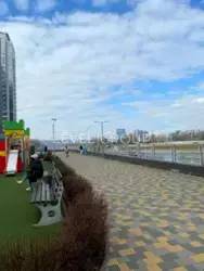      River Stone  15