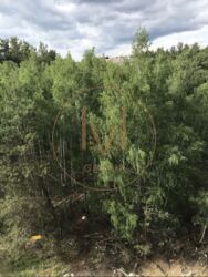 ���������� �������� 96�2, ˳���� �����. ���� 6