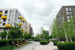 .  Fayna Town.    20
