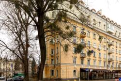 ��������, ��������, ������ ������, �����, �������� ���� 19