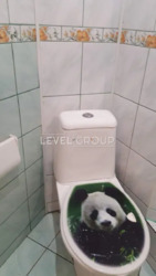 ������ 2-������� �������� �� ������� ����������, 18 ���� 7