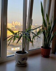 ������ 2-������� �������� �� ������� ���������� ����� 3 ���� 7