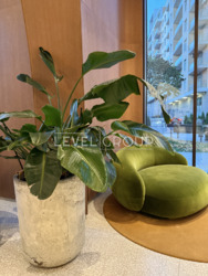     'Crystal Park Tower'  .  4