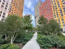  3    Svitlo Park  13