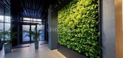    81m2 Greenville    , 7  4