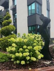 ������ ������� 1-������� �������� � ���������� ��������� �������� '� �������'. ���� 12