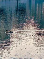 ������ ����������� �������� � �� ������ ����� ���� 24