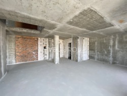   172²   . , , 41  12