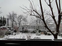 �������� � �������� ������� ����������, ���. ��������� ���� 15