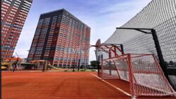   , ,   . (), 8, .   6