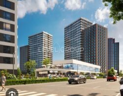 1� �������� 47�² | �� ������������ 3� | ���� 7