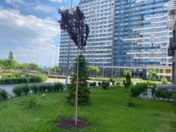 ��������� 3-��. �������� � �������� � �� ����������, ���������, 6�. ���� 10